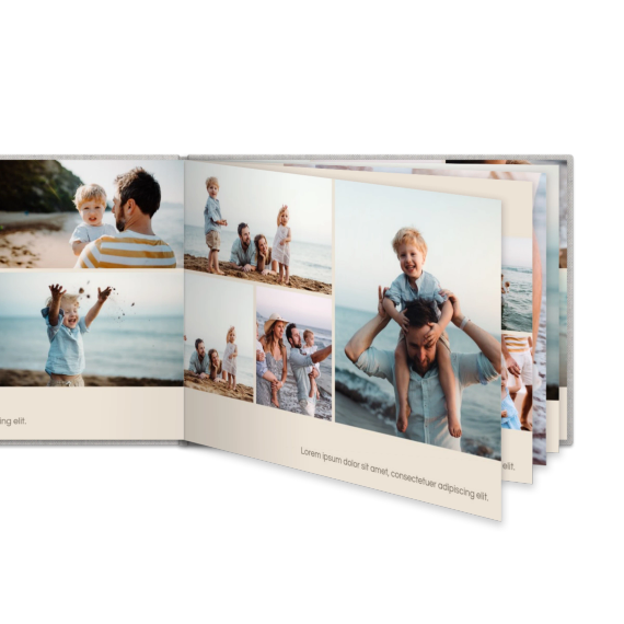 Portfolio Beige