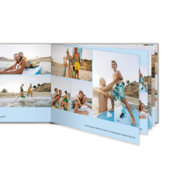 Portfolio Light Blue