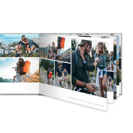 Portfolio White
