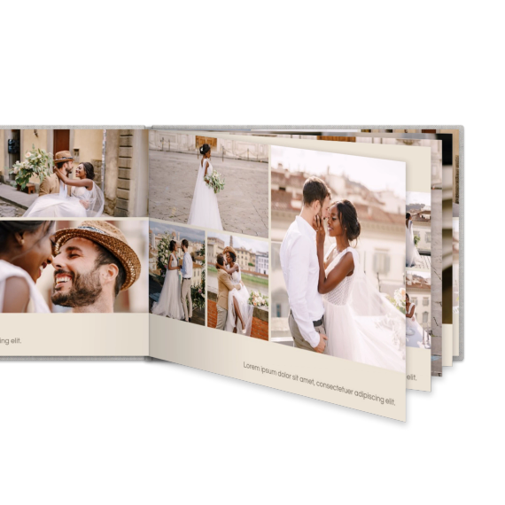 Portfolio Beige Portfolio Beige