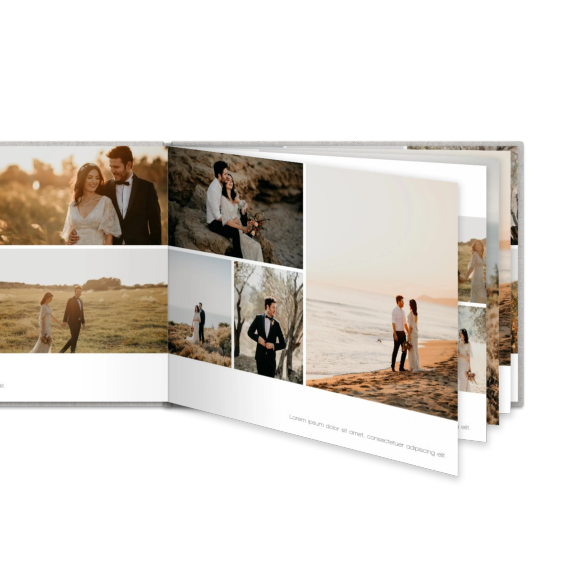 Portfolio White Portfolio White