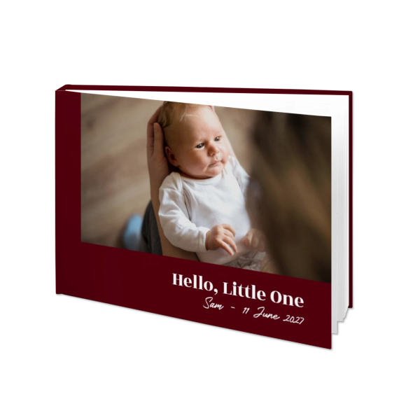 Portfolio Burgundy Portfolio Burgundy