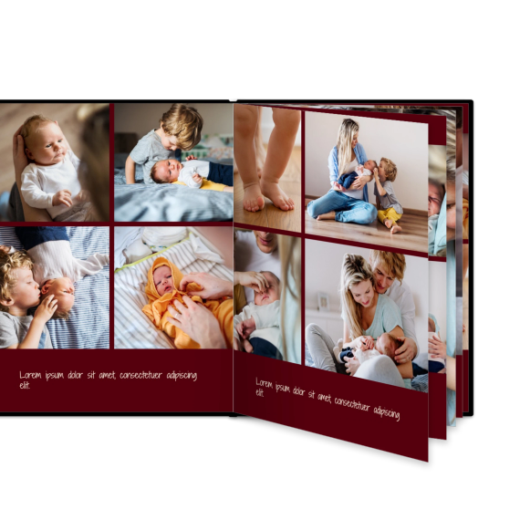 Portfolio Burgundy Portfolio Burgundy