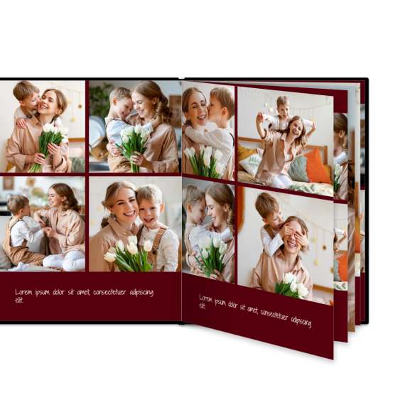 Portfolio Burgundy