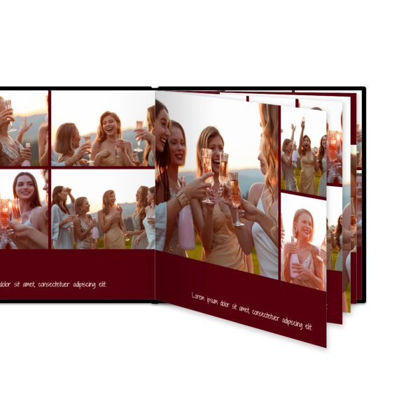 Portfolio Burgundy Portfolio Burgundy