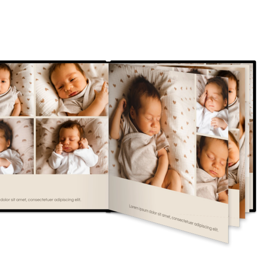 Portfolio Beige Portfolio Beige