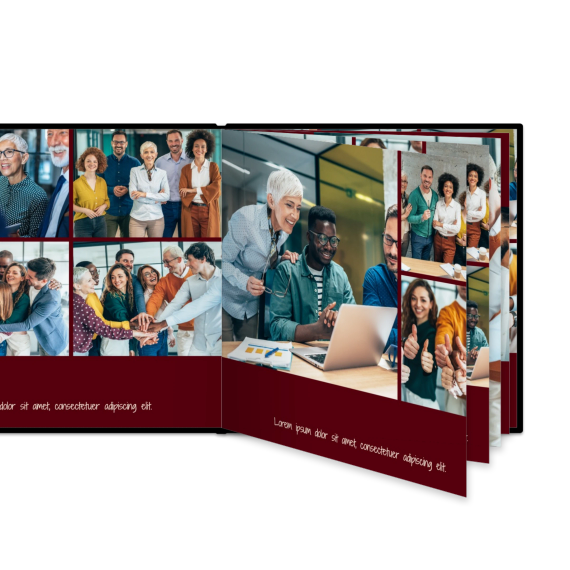 Portfolio Burgundy Portfolio Burgundy