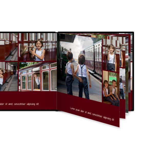 Portfolio Burgundy Portfolio Burgundy