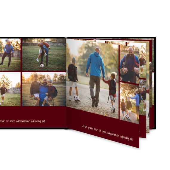 Portfolio Burgundy Portfolio Burgundy