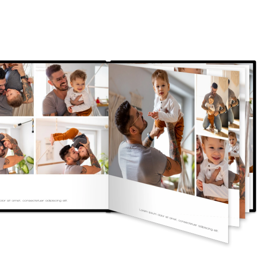 Portfolio White
