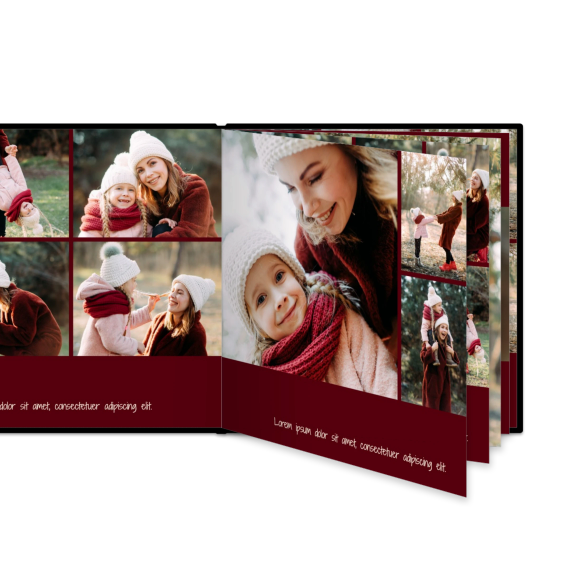 Portfolio Burgundy Portfolio Burgundy