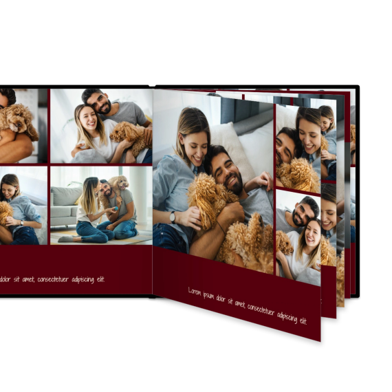 Portfolio Burgundy Portfolio Burgundy
