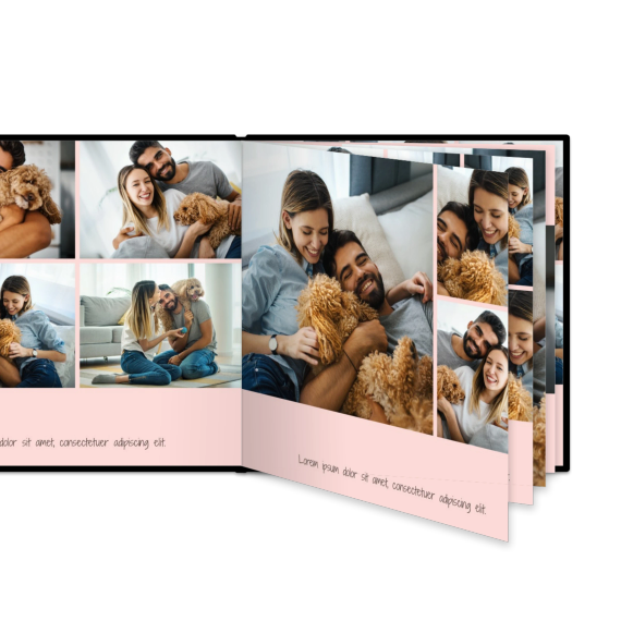 Portfolio Pink Portfolio Pink