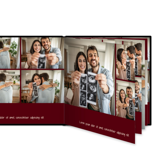 Portfolio Burgundy Portfolio Burgundy