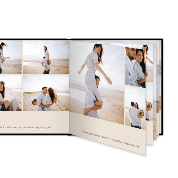 Portfolio Beige