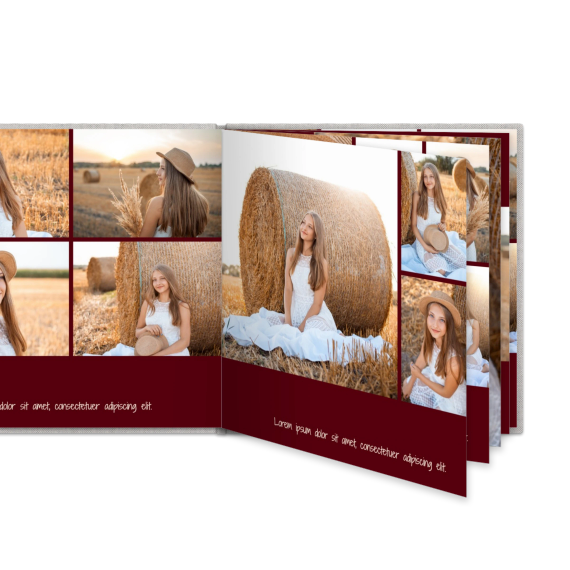 Portfolio Burgundy Portfolio Burgundy
