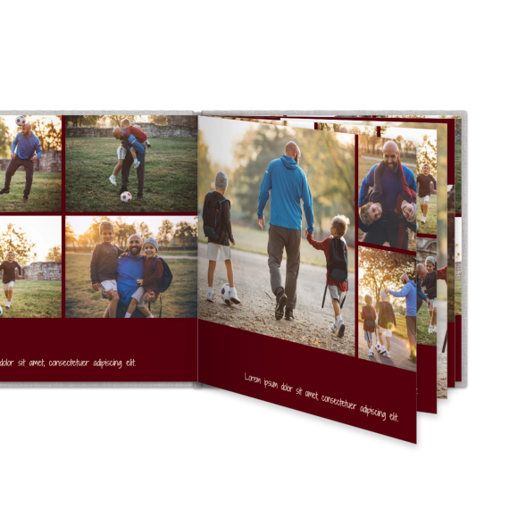 Portfolio Burgundy Portfolio Burgundy