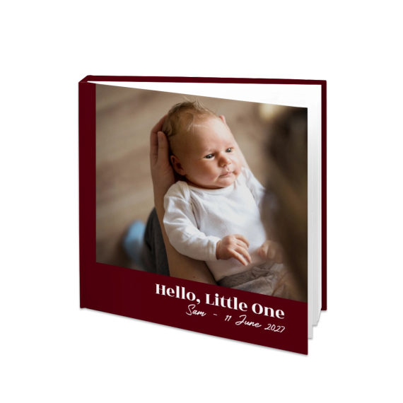 Portfolio Burgundy Portfolio Burgundy