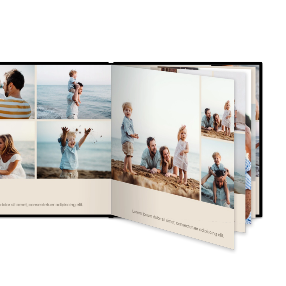 Portfolio Beige