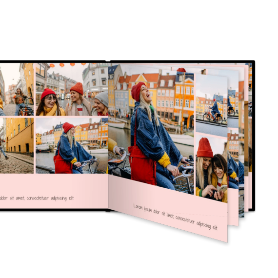 Portfolio Pink