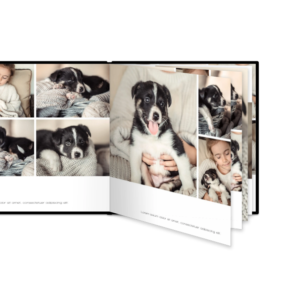 Portfolio White Portfolio White