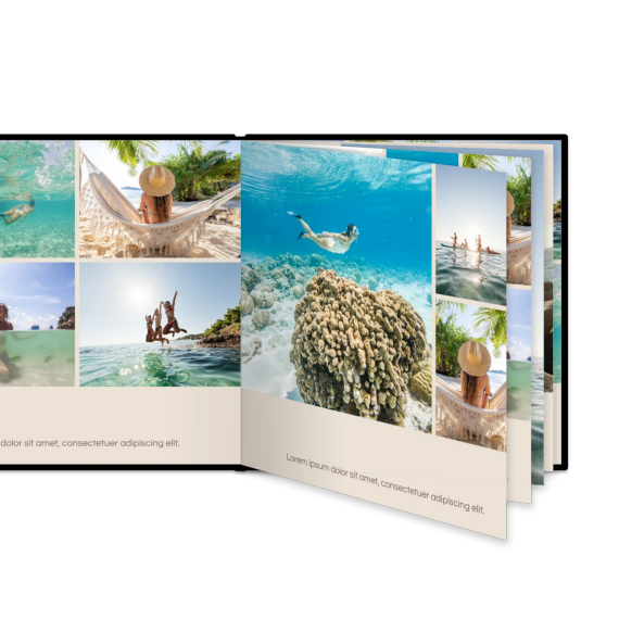 Portfolio Beige
