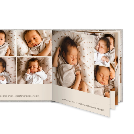 Portfolio Beige Portfolio Beige