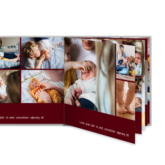 Portfolio Burgundy Portfolio Burgundy