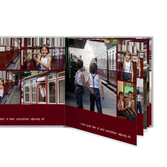 Portfolio Burgundy Portfolio Burgundy