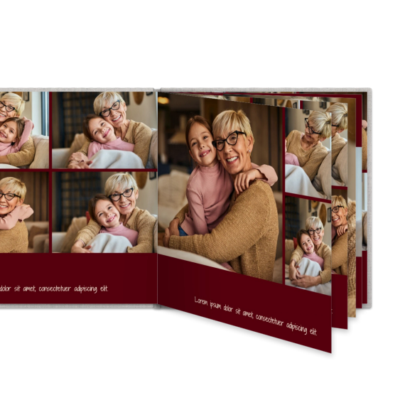 Portfolio Burgundy Portfolio Burgundy