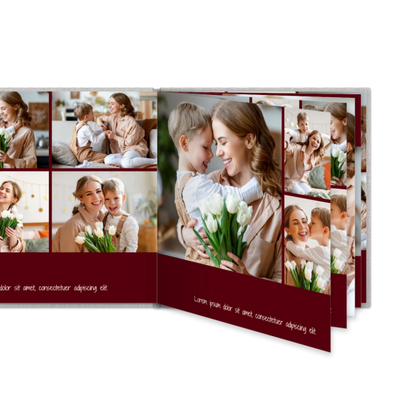 Portfolio Burgundy Portfolio Burgundy