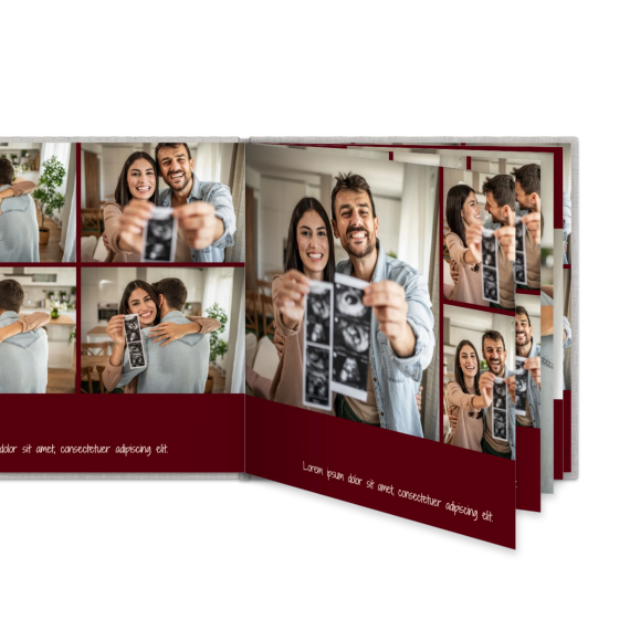 Portfolio Burgundy
