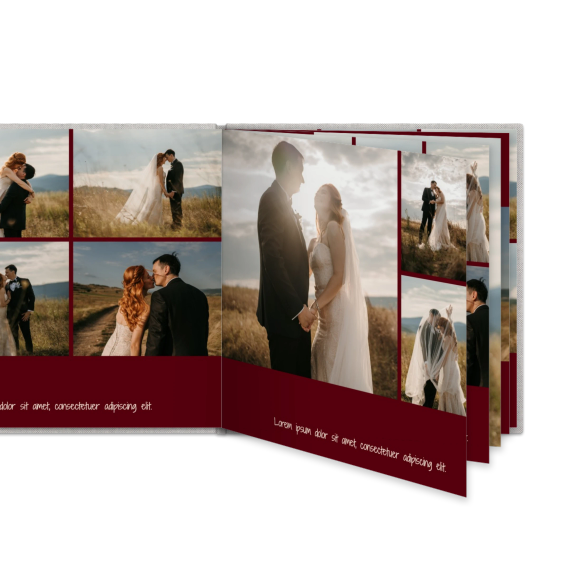 Portfolio Burgundy