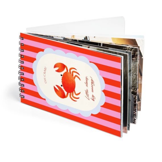 Cheeky Crab Stripes - Text only Cheeky Crab Stripes - Text only