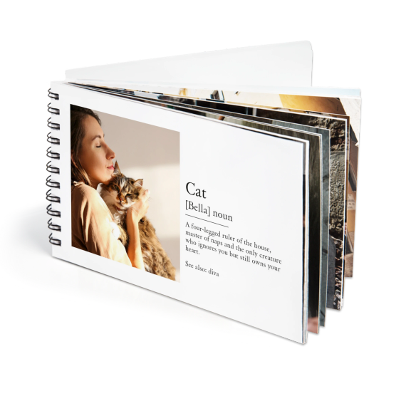 Pocketbook_DictionaryDefinition