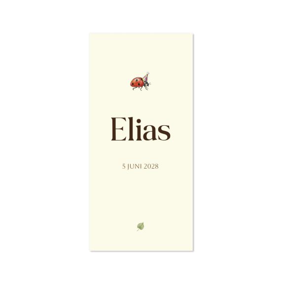 Illustration Ladybug - Text Only Birth Illustration Ladybug - Text Only Birth
