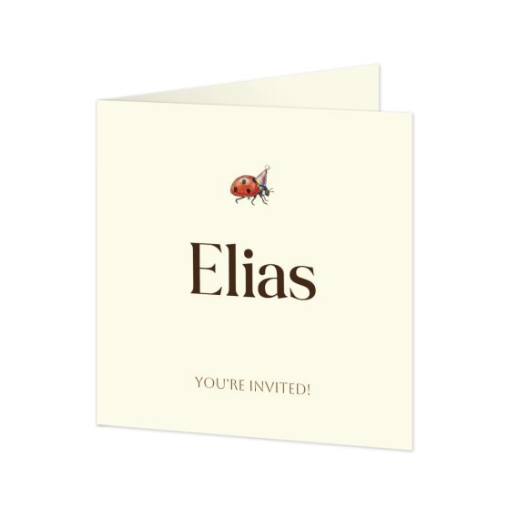 Illustration Ladybug Illustration Ladybug