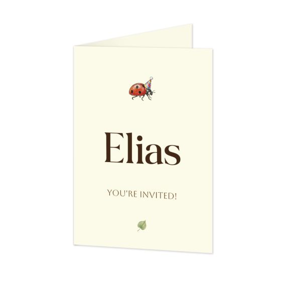 Illustration Ladybug Illustration Ladybug