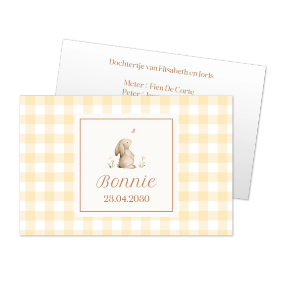 Cute Bunny Vichy Cute Bunny Vichy