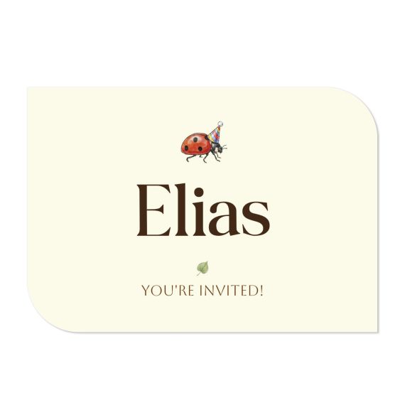 Illustration Ladybug Illustration Ladybug