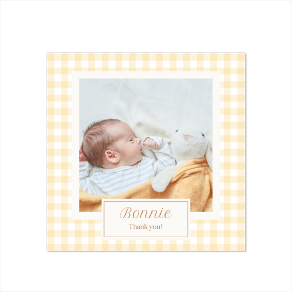 Cute Bunny Vichy Cute Bunny Vichy