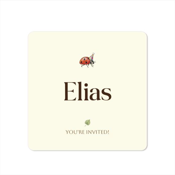Illustration Ladybug Illustration Ladybug