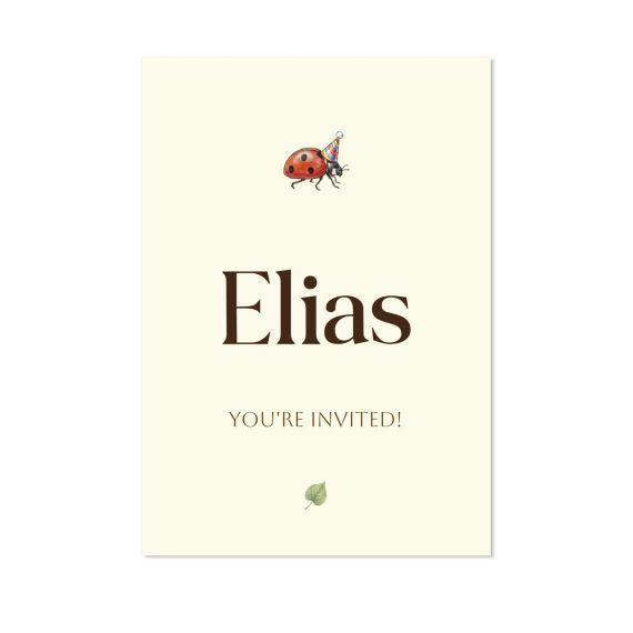 Illustration Ladybug Illustration Ladybug