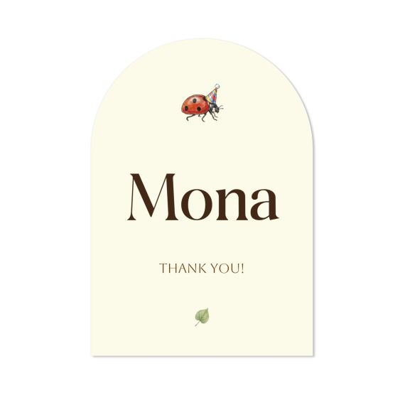 Illustration Ladybug
