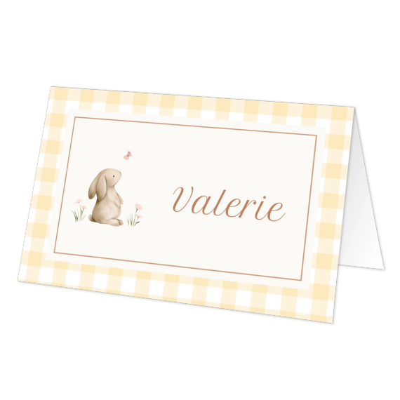 Cute Bunny Vichy