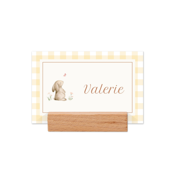 Cute Bunny Vichy