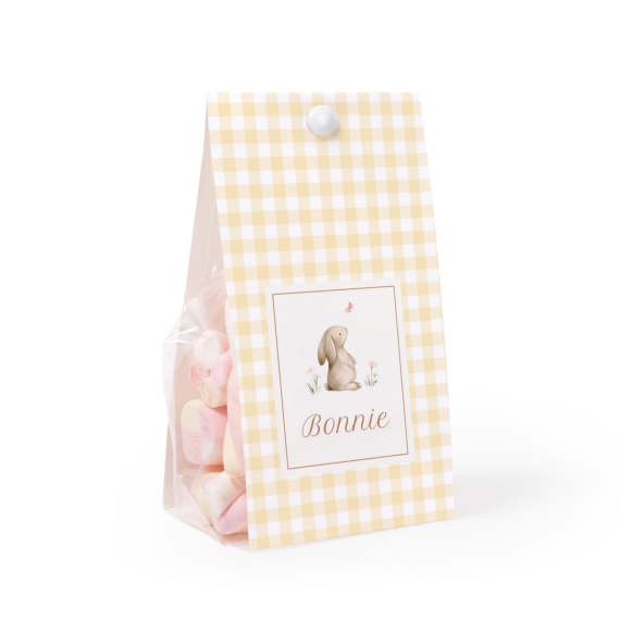 Cute Bunny Vichy Cute Bunny Vichy