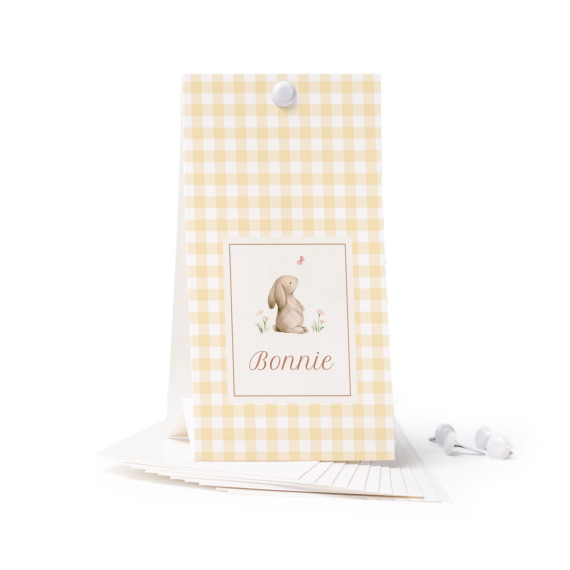 Cute Bunny Vichy Cute Bunny Vichy