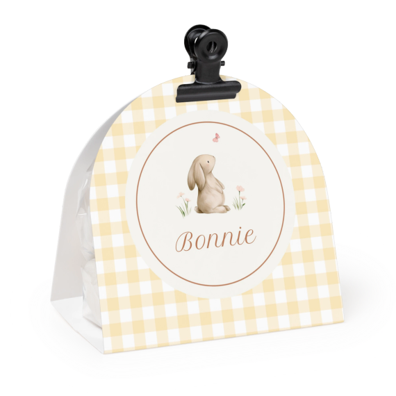 Cute Bunny Vichy Cute Bunny Vichy