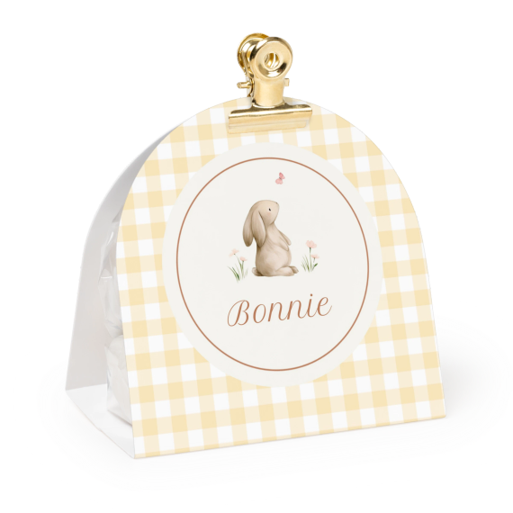 Cute Bunny Vichy Cute Bunny Vichy